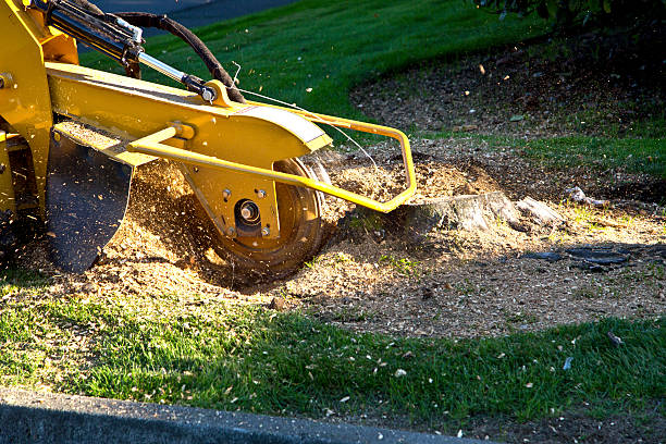 Lawn Irrigation Installation and Maintenance in Troy, TX